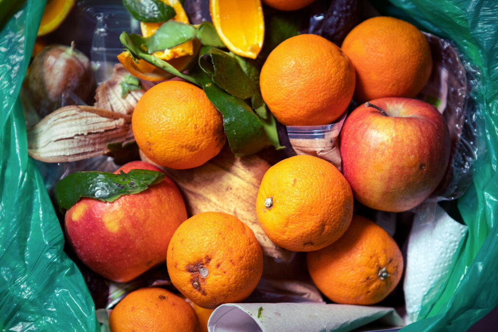 Restricted Waste What Can You Not Put in a Skip? One Waste